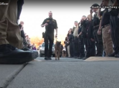 Szívszorító felvétel: rendőrségi díszsorfal előtt ballagott a halálba Pajti – Így búcsúztatták a drogkereső kutyust