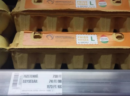 Nálunk most jelenleg 70 Forint a tojás darabja! A hétvégén átmentem Ausztriába a családommal, azt hittem elájulok amikor megláttam, hogy ott mennyibe kerül!