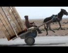 A fél világ ezen a videón szakad a nevetéstől, mi sem bírjuk már!!!