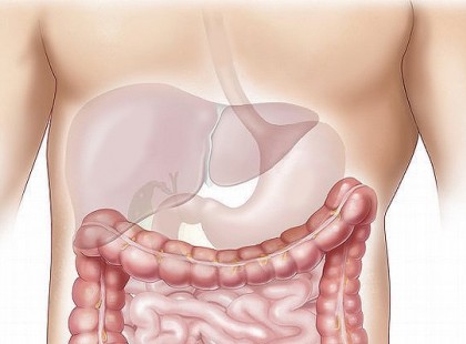 Tudományosan bizonyított: az édesgyökér képes helyrehozni a májkárosodást!