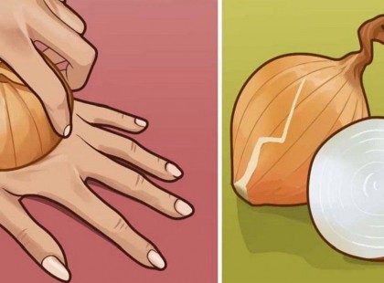 A nyers hagyma az örök fiatalság forrása és a legerősebb sejtregeneráló! Vegyük csak a leghétköznapibb hagymát…