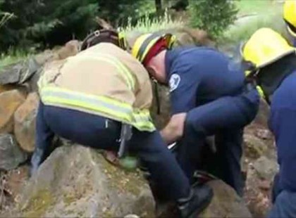 A család visító hangot hallott a kövek alól, amit a tűzoltók találnak igazán meglepő