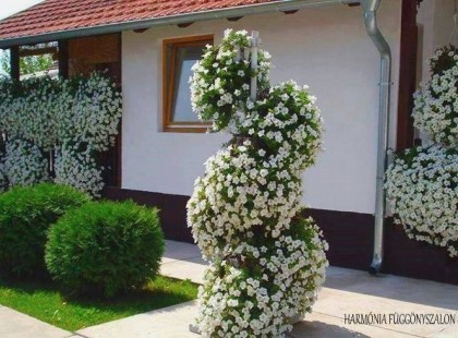 Ötletek, hogy az előkerteddel első pillantásra lenyűgözz mindenkit!