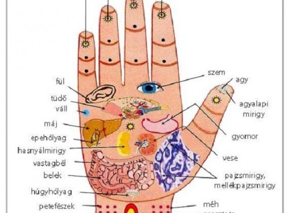 A kezünkön megoldás a vérnyomásproblémákra, hátfájásra és ízületi gyulladásokra! Mutatjuk :