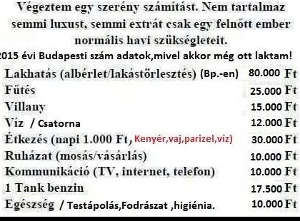 Képtelen vagyok itthon megélni. Egy kis számítást végeztem. Tényleg emelkedtek a bérek hazánkban? Akkor Ezt figyeljétek!