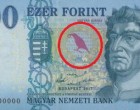 Új ezresünk van. Ráadásul őszinte alkotás, ott a képen Magyarország új államformája: egy szarka, csőrében egy gyűrű. Mivel az ezresen van, így a kép értelme teljesen világos: lopunk ezerrel.