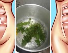 Hét nap, 7 pohár: ezzel a módszerrel sikeresen megszabadulhatsz a hasi zsírtól! A fogyókúrás lé titka…