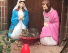Mindenki a morci macskát akarja látni, aki befeküdt a kis Jézus helyére a jászolba