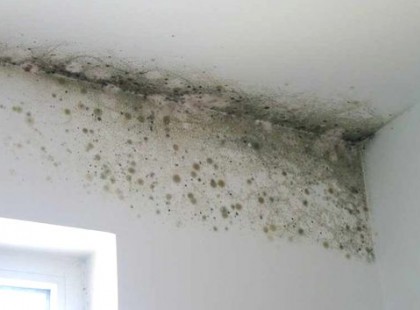 Vigyázat! Eszedbe sem jutnak, de ez a 16 tünet penészbetegséget jelezhet!!!! Ezekre nagyon figyelj, mert katasztrofális egészségkárosító hatása lehet!