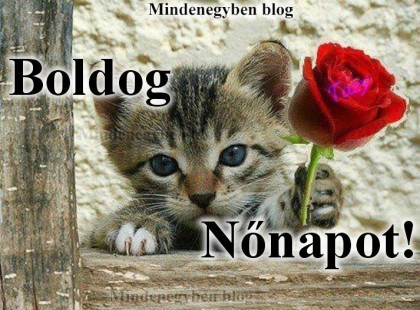 Boldog Nőnapot!