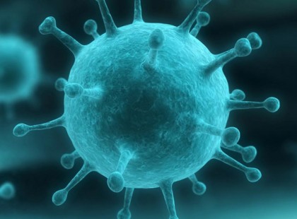 Figyelem!! Ritka életveszélyes vírusos betegség terjed Magyarországon! Sok ember számára ismeretlen – Ezek a tünetek: