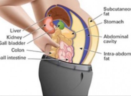 Ez a baktérium gátolja a fogyást! Így lehet kipucolni a szerevzetből! A vízzel és a táplálékkal kerül be a szervezetünkbe, az emberiség 2/3 – a fertőzött ezzel a baktériummal.EZEK A TÜNTEK – valószínű, fogy TE IS MEGFERTŐZŐDTÉL!