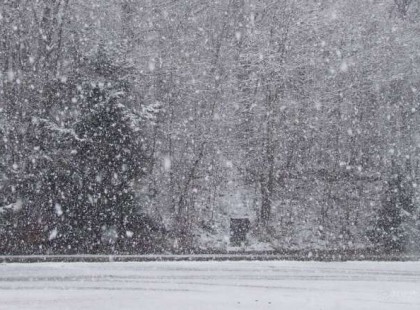 Friss!Havazás - hózápor !