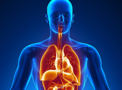 20 lenyűgöző tény az emberi testről, amit nem tudtál