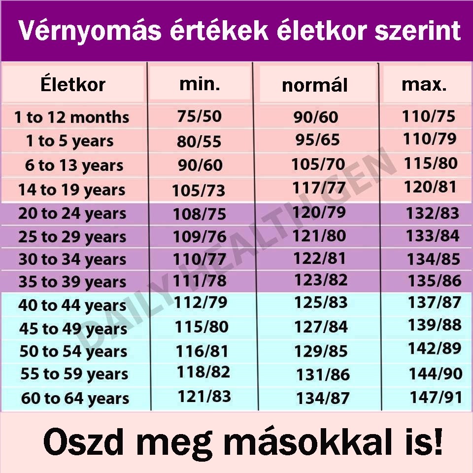 A vérnyomás értékek és diagramok magyarázata