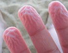 Az emberi test 9 védekező rendszere! Én nem tudtam, hogy a csuklás is ezek közé tartozik…
