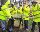 Friss! Itt a döbbenetes bejelentés! Megtette azt a kormány, amire senki nem számított – A közmunkások nagyon rosszul járnak ebben az évben! Hatalmas lesz a felháborodás!
