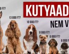 Kutyatulajdonosok figyelem! Keményen adózniuk kell ezentúl kedvenceik után! Ekkora összeget kell fizetniük hamarosan !