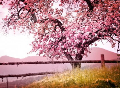 Fantasztikus hír:Ilyen idő lesz Húsvéthétfőn