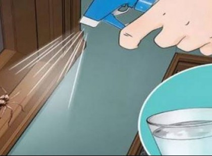 Permetezd körbe a házat ezzel a házi szerrel és 2 órán belül eltűnnek a legyek, szúnyogok, bogarak és a csótányok!