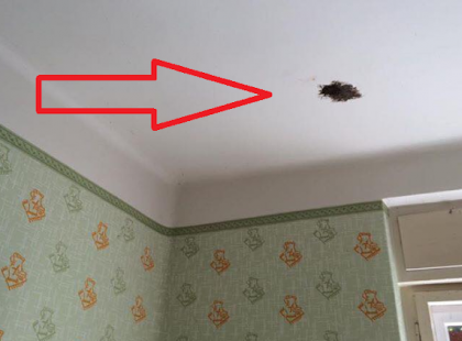 Nagyon vigyázzatok!!!!! MEGLÁTTUK A PLAFONON EZT A FEKETE FOLTOT, AMIKOR MEGTUDTUK, HOGY MI IS AZ VALÓJÁBAN KISZALADTUNK A HÁZBÓL….Nagyon kérek mindenkit, hogy olvassa el és ossza meg!!!!