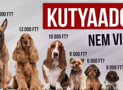 Kutyatulajdonosok figyelem! Keményen adózniuk kell ezentúl kedvenceik után! Ekkora összeget kell fizetniük hamarosan !