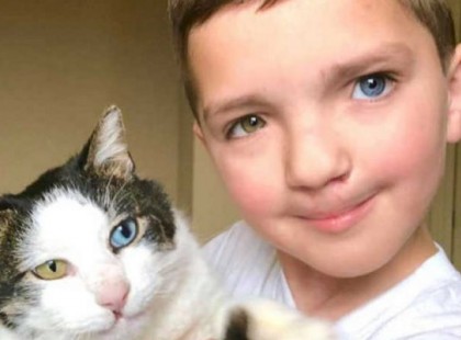 A 7 éves kicsúfolt fiú most egy olyan cicát kap a menhelyről aki pont olyan különleges mint ő