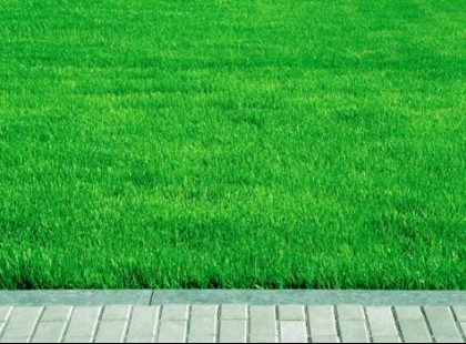Egy kertész nagy trükkje: így lesz gyönyörű szép zöld és gyommentes a pázsit!