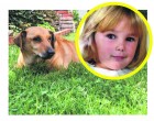 Gyerekgyilkosság Sólyon - Adrienn után akar halni a kutyája