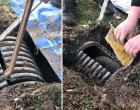 A gyerekek furcsa hangokat hallanak egy föld alatti csőből: Ásni kezdenek és egy fekete állatot találnak