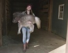 A kis póni nem tudott járni a deformált lába miatt, de gazdája zseniális megoldást talál