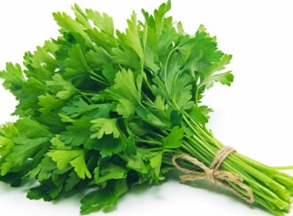 Ez a filléres zöld növény jobb minden patikai szernél