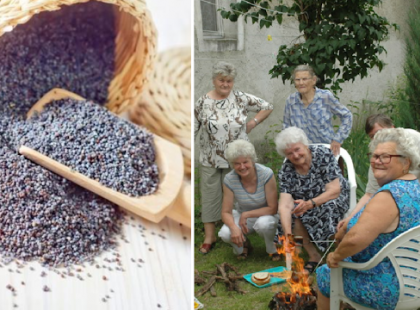 RENGETEG HELYEN BE VAN TILTVA, PEDIG ENNEK A NÖVÉNYNEK A FOGYASZTÁSÁT MINDENKI SZÁMÁRA KÖTELEZŐVÉ KELLENE TENNI 50 ÉVES KOR FÖLÖTT - OSSZA MEG LEGYEN KEDVES, AKI SZERINT IS AZ EGYIK LEGEGÉSZSÉGESEBB NÖVÉNY A VILÁGON!