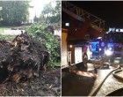 Szörnyű tragédia! Négy ember, köztük egy féléves kisbaba is életét vesztette a tomboló viharban Dombóváron! Mutatjuk a szomorú részleteket: - Nyugodj békében drága kis angyalka!