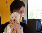 Ő Viktória, akit pár napja elütött a vonat, mert fülhallgató volt a fülében. A mozdonyvezető sokkot kapott, és gyógyszereken él azóta
