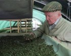 A bükki füvesember ABC könyve – tudjon róla mindenki