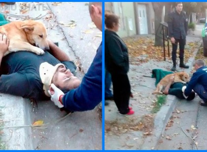 15 megható példája annak, mennyire szeretnek bennünket, embereket a háziállataink!