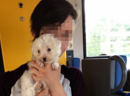 Ő Viktória, akit pár napja elütött a vonat, mert fülhallgató volt a fülében. A mozdonyvezető sokkot kapott, és gyógyszereken él azóta