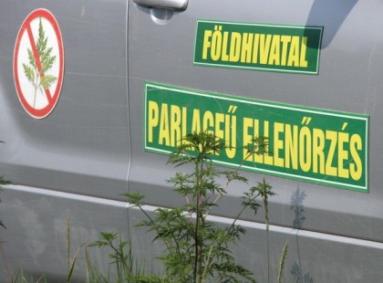 Ha vasárnapig nem csinálja meg ezt, 5 milliós bírságra számoljon, mindenki aki magánházban él!