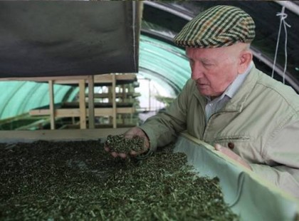 A bükki füvesember ABC könyve – tudjon róla mindenki