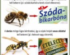 A méhcsípésre tegyél szódabikarbónát, a darázs csípésre ecetet. Hasznos tippek, ha megcsípne