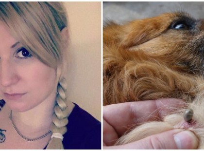 Veronika háziszere – ha ezt használod háziállataidon soha nem lesz többé kullancs