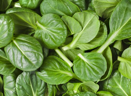 Régiek így gyógyítottak orvosságok nélkül