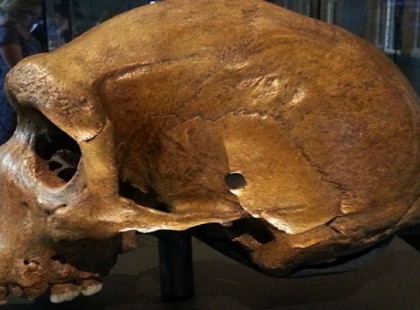 Ez a koponya meghazudtolja az emberi evolúciót: minden hazugság volt, amit mondtak?