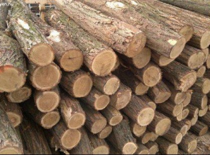 Szociális tüzelőanyag-támogatás 2018: jön az ingyen tüzifa, és pénz támogatás szénre!!!
