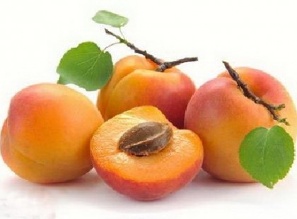 Szedd magad sárgabarack, kajszibarack földek 2018!ITT a szezon – itt juthatsz hozzá fillérekért, a friss, mézédes, egészséges gyümölcshöz! ORSZÁGOS LISTA!>>