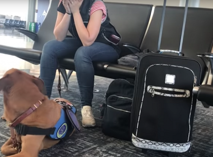 A kutya látja, hogy gazdája remegni kezd - amit ekkor tesz az ezreket lep meg