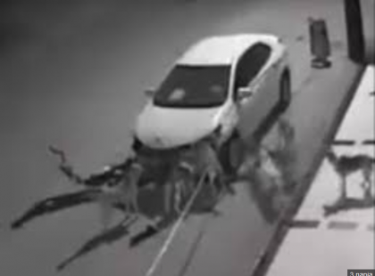 A férfi belerúg a kutyába hogy leparkolhasson - az eb és barátai bosszút állnak és szétszedik a kocsit