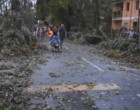 Friss!Elkezdődött, fákat dönt ki a jégesővel kísért vihar, ami szétverte Nyíregyházát. Videó