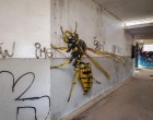 Megjelentek az óriás darazsak.... lélegzetelállító 3D graffitik
